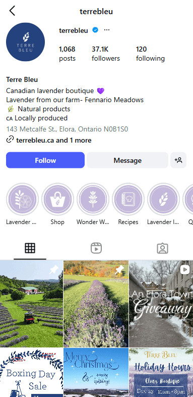 Instagram profile screenshot for Terre Bleu from the Ascenteers site
