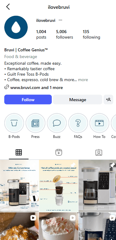 Instagram profile screenshot for Bruvi from the Ascenteers site