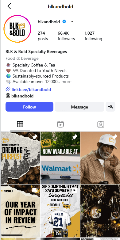 Instagram profile screenshot for BLK and Bold from the Ascenteers site