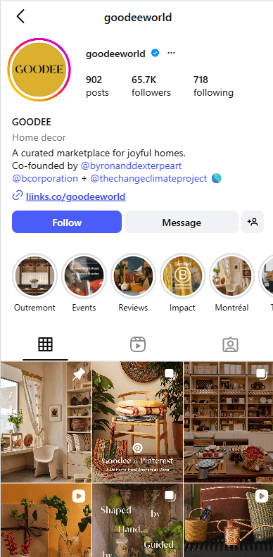 Instagram profile screenshot for Goodee from the Ascenteers site